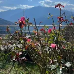 Cosy Plein Sud Proche Crans Montana Et Anzere! Vue Unique Sur Les Alpes * Ayent