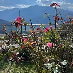 Cosy Plein Sud Proche Crans Montana Et Anzere! Vue Unique Sur Les Alpes * Ayent