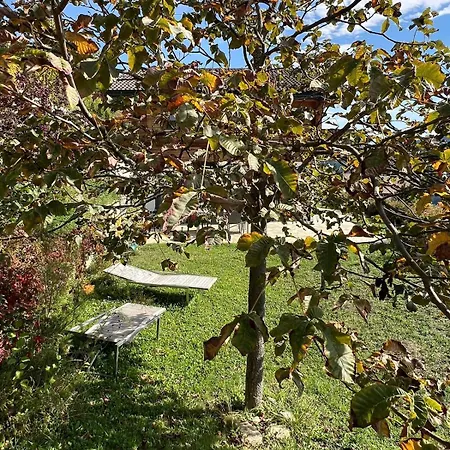Cosy Plein Sud Proche Crans Montana Et Anzere! Vue Unique Sur Les Alpes * Ayent