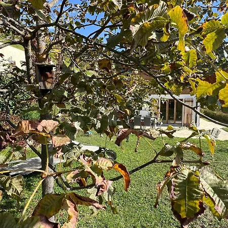 South-facing 15 Minutes From Skiing Chalet Ayent