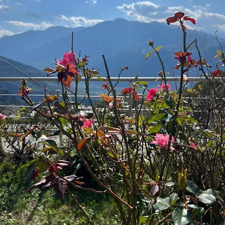 Cosy Plein Sud Proche Crans Montana Et Anzere! Vue Unique Sur Les Alpes * Ayent