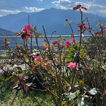 Cosy Plein Sud Proche Crans Montana Et Anzere! Vue Unique Sur Les Alpes * Ayent