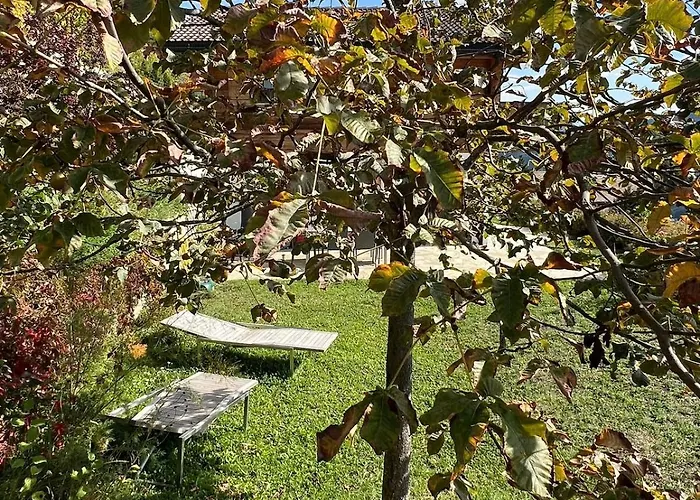 Cosy Plein Sud Proche Crans Montana Et Anzere! Vue Unique Sur Les Alpes * Ayent