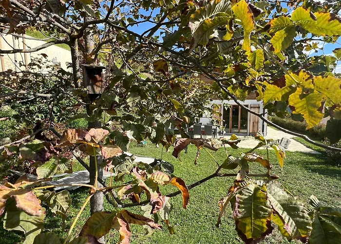 South-facing 15 Minutes From Skiing Chalet Ayent