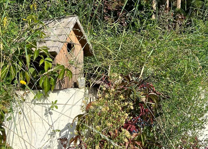 Cosy Plein Sud Proche Crans Montana Et Anzere! Vue Unique Sur Les Alpes Ayent