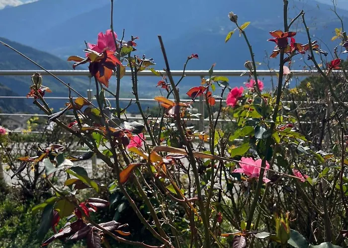 Cosy Plein Sud Proche Crans Montana Et Anzere! Vue Unique Sur Les Alpes * Ayent