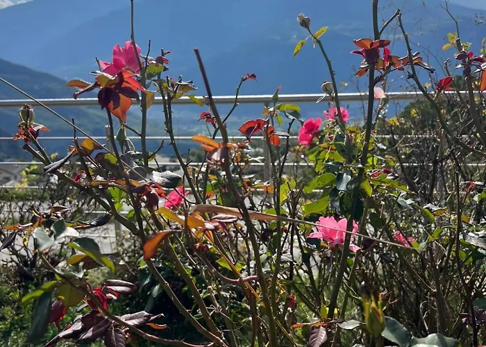 Cosy Plein Sud Proche Crans Montana Et Anzere! Vue Unique Sur Les Alpes * Ayent