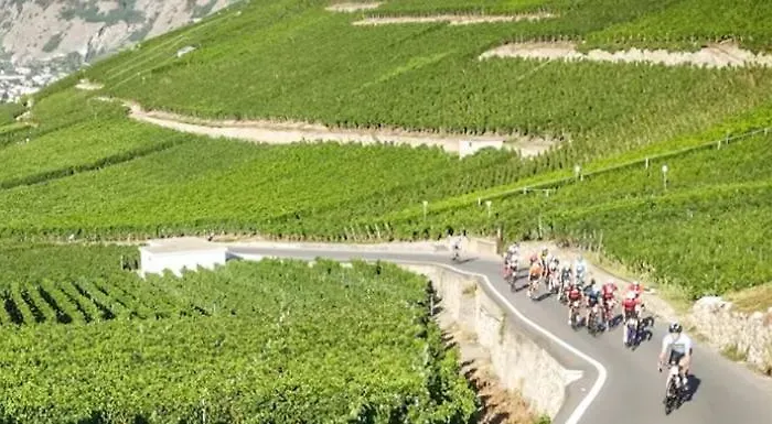 Cosy Plein Sud Proche Crans Montana Et Anzere! Vue Unique Sur Les Alpes شاليه Ayent